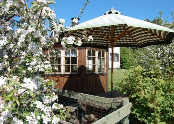 Bed and Breakfast Laane Pansion Käsmu Exteriér fotografie